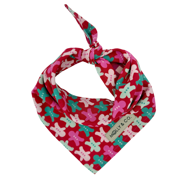 Rosewood Tartan + Gingerbread - Reversible Dog Bandana