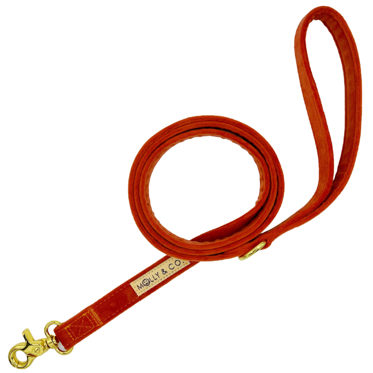 Tangerine Velvet - Dog Leash