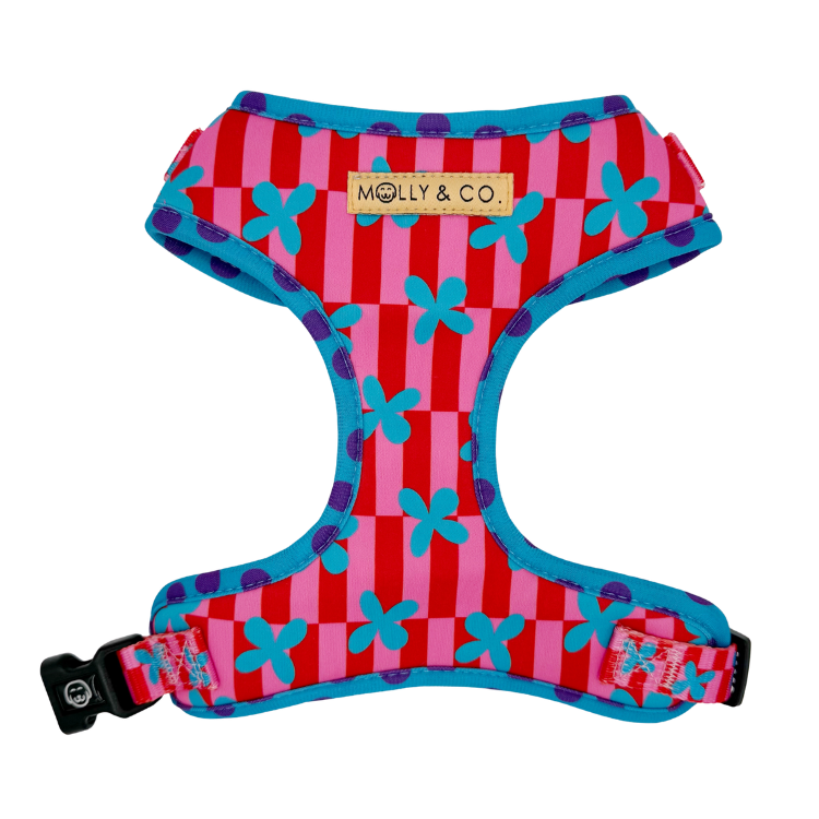 Supernova - Adjustable Dog Harness