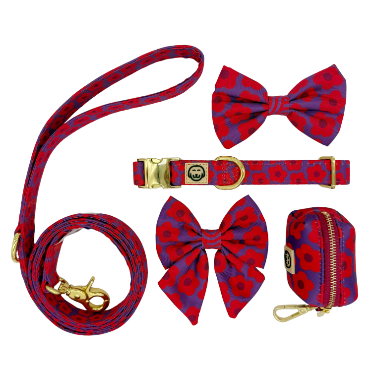 Deluxe Bundle - Mon Chéri