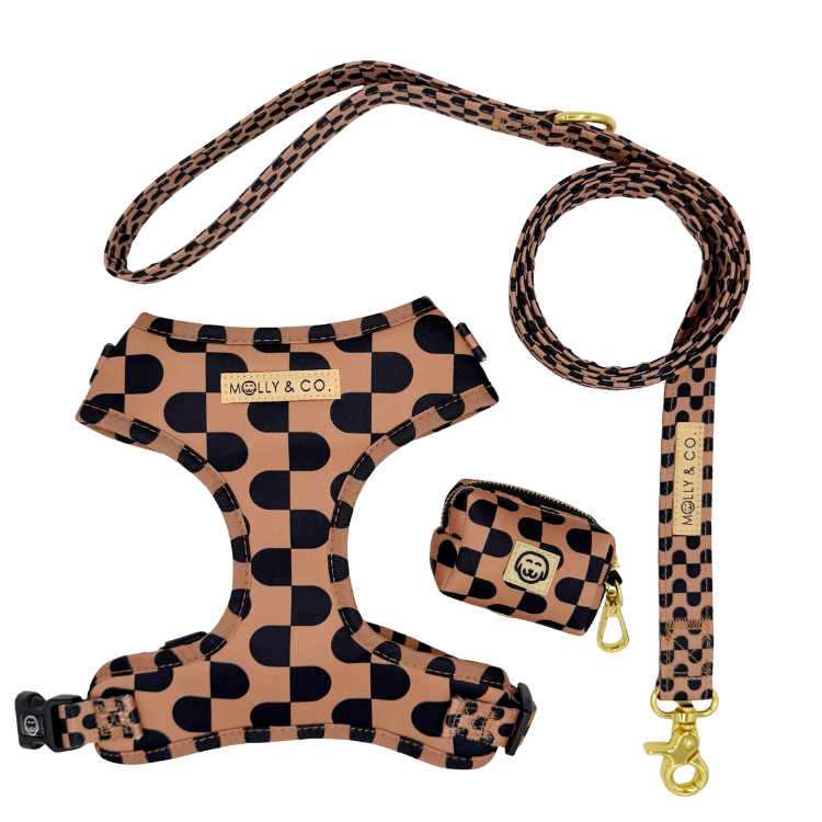 Moonrise - Walking Bundle