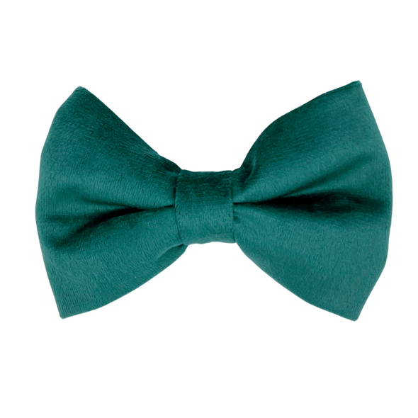 Emerald Velvet - Dog Bowtie