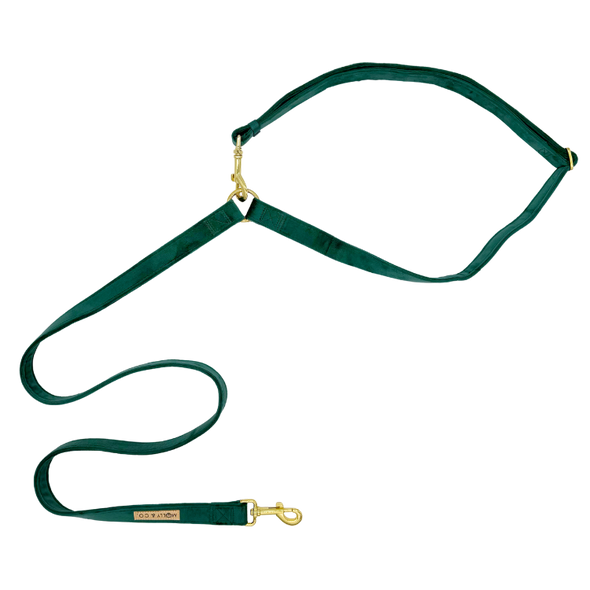 Velvet - Handsfree Dog Leash