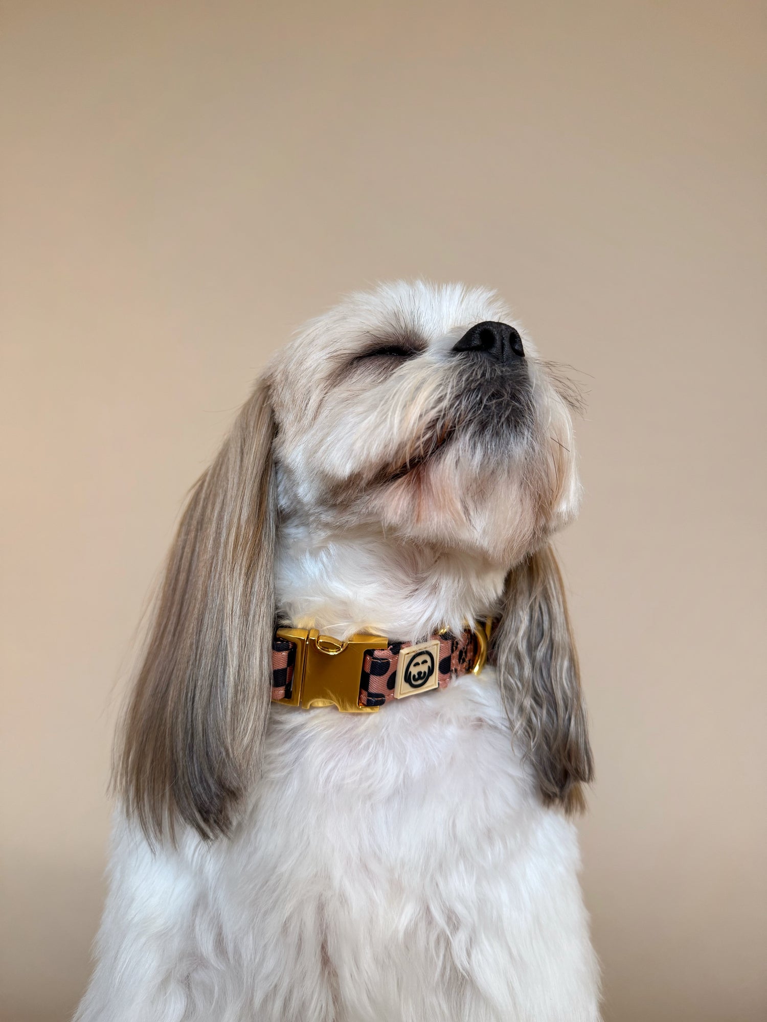 Moonrise - Dog Collar