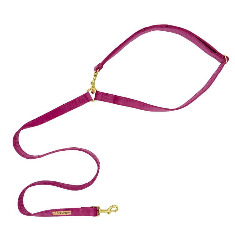 Velvet - Handsfree Dog Leash