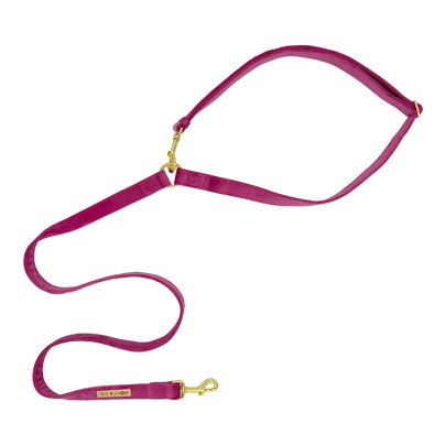 Velvet - Handsfree Dog Leash