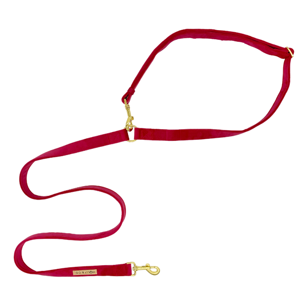 Velvet - Handsfree Dog Leash