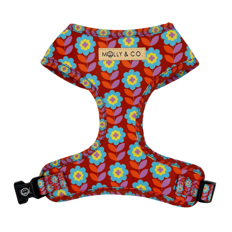 Poppy - Adjustable Dog Harness