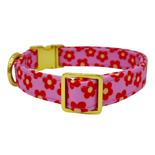 Wildflower - Dog Collar