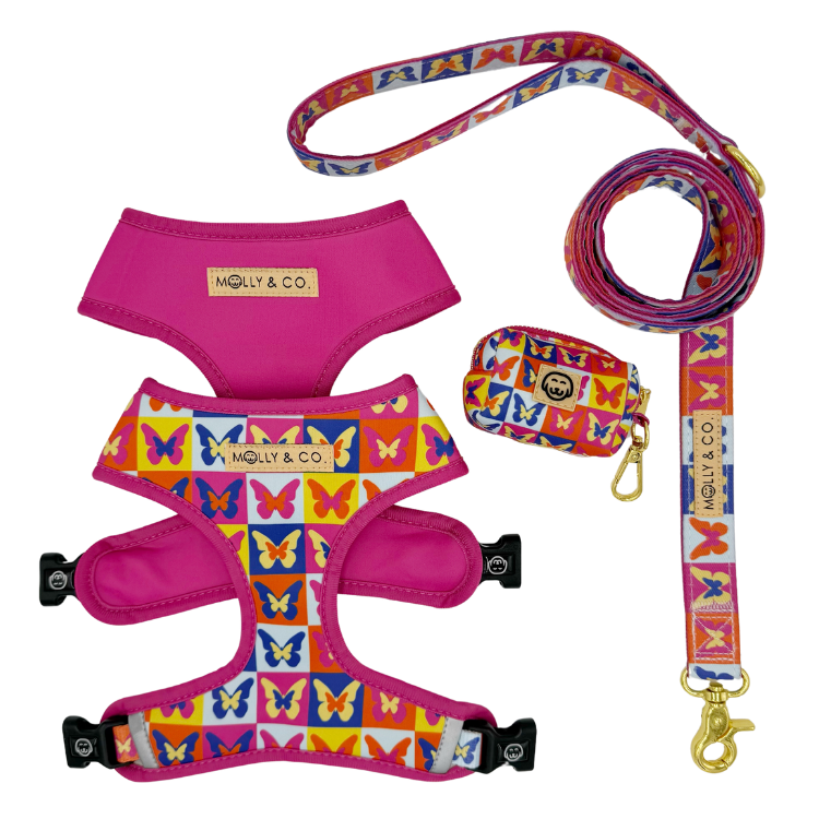 Mariposa - Walking Bundle