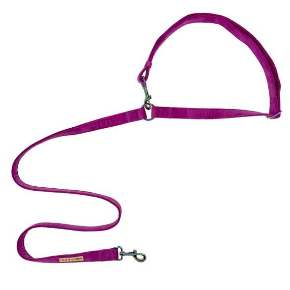 Velvet - Handsfree Dog Leash