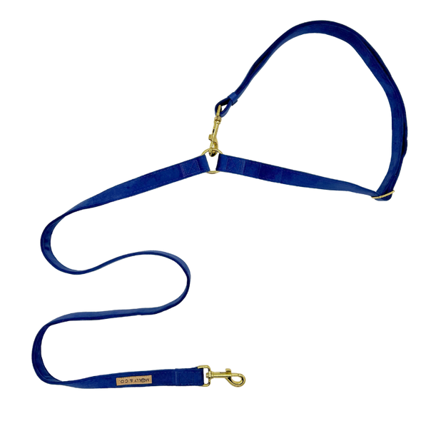 Velvet - Handsfree Dog Leash