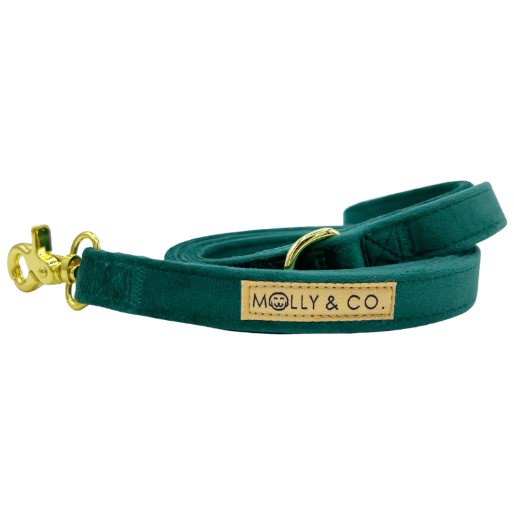 Emerald Velvet - Dog Leash