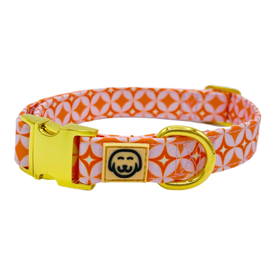 Glam Pup - Dog Collar