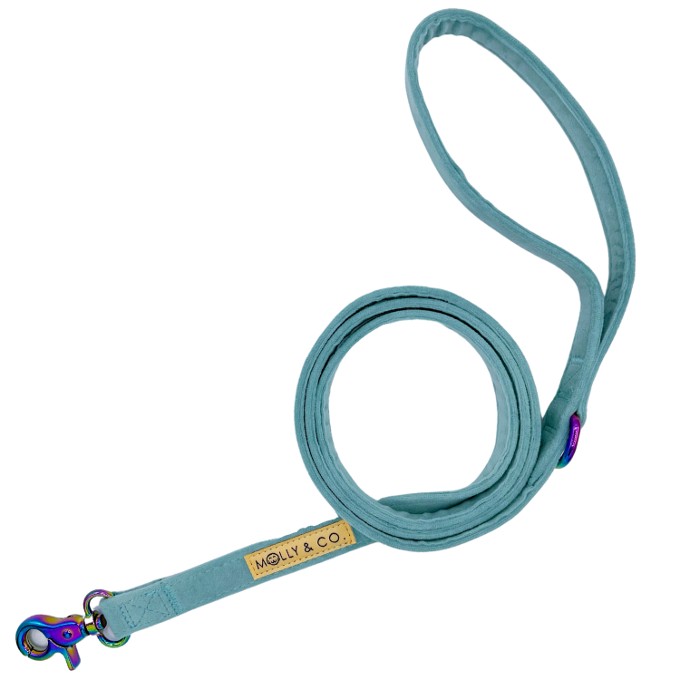 Molly Velvet - Dog Leash