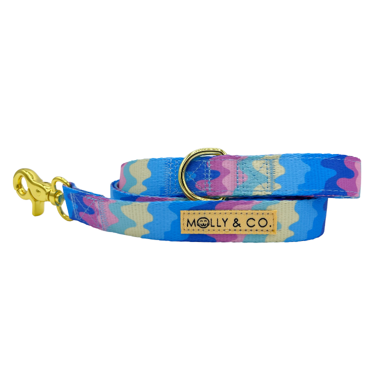 Ice Cream - Dog Leash - FINAL SALE