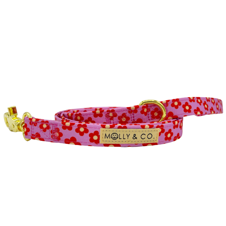 Wildflower - Dog Leash