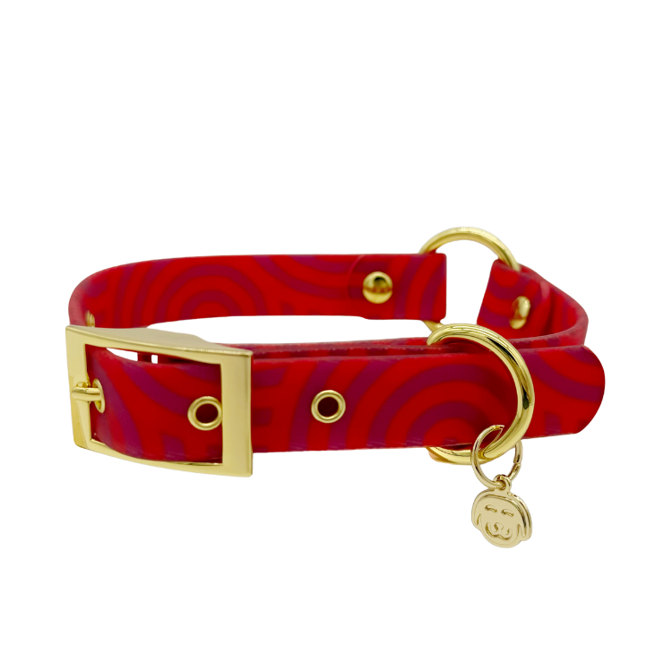 Mon Chéri - Splashproof Dog Collar