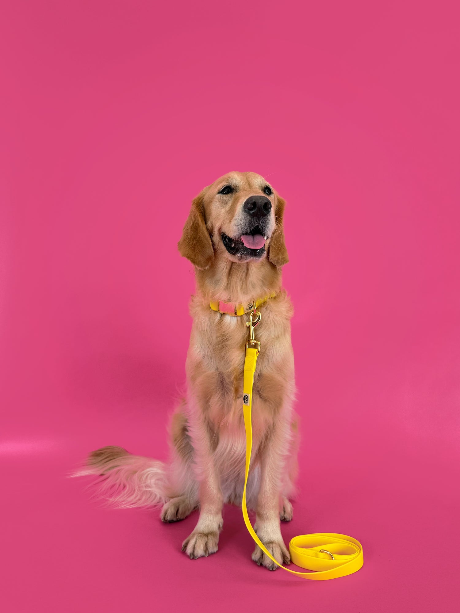 Limoncello - Splashproof Bundle