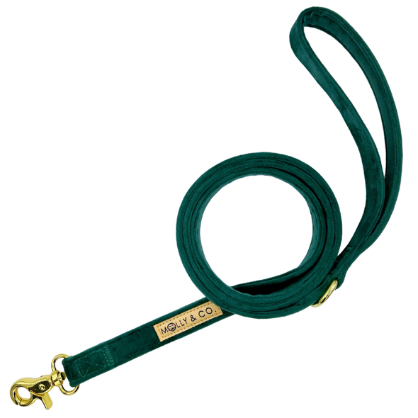 Emerald Velvet - Dog Leash