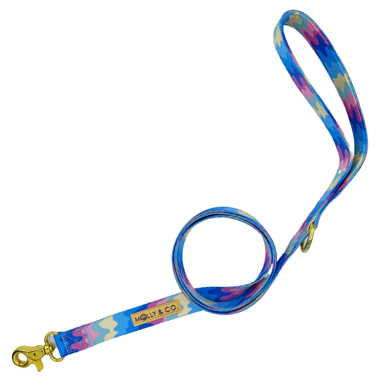 Ice Cream - Dog Leash - FINAL SALE