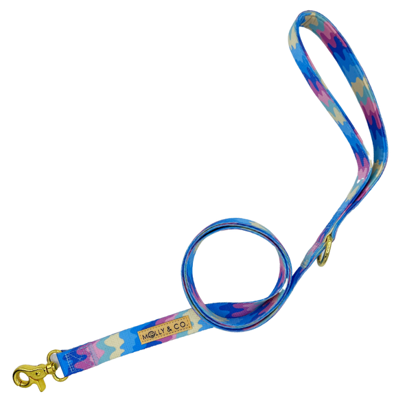 Ice Cream - Dog Leash - FINAL SALE