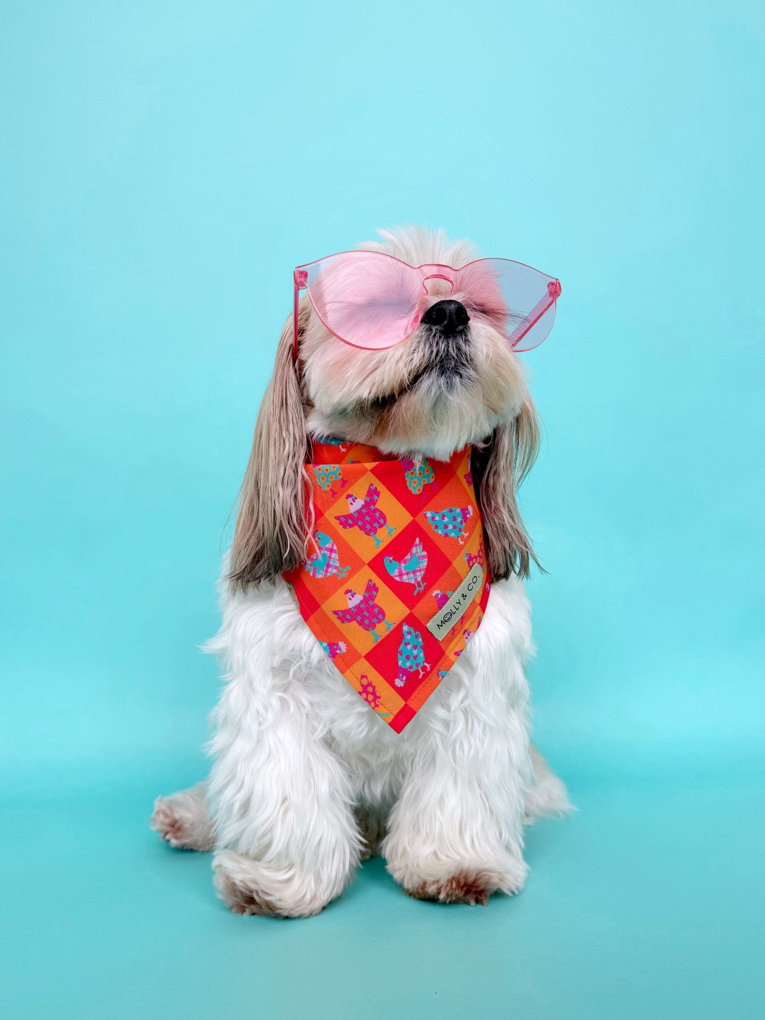 Hen Party - Dog Bandana