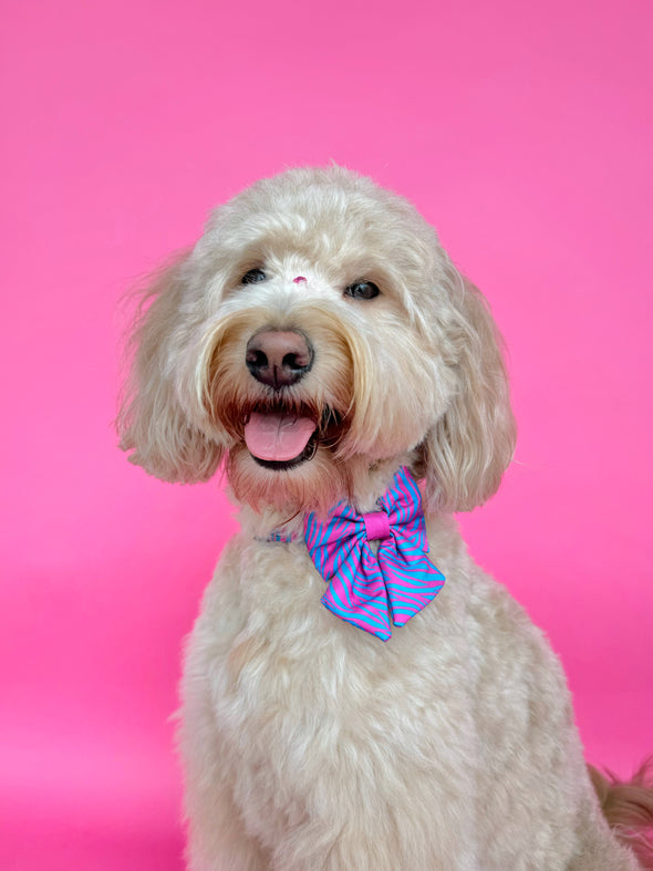 Malibu Doll - Dog Sailor Bowtie