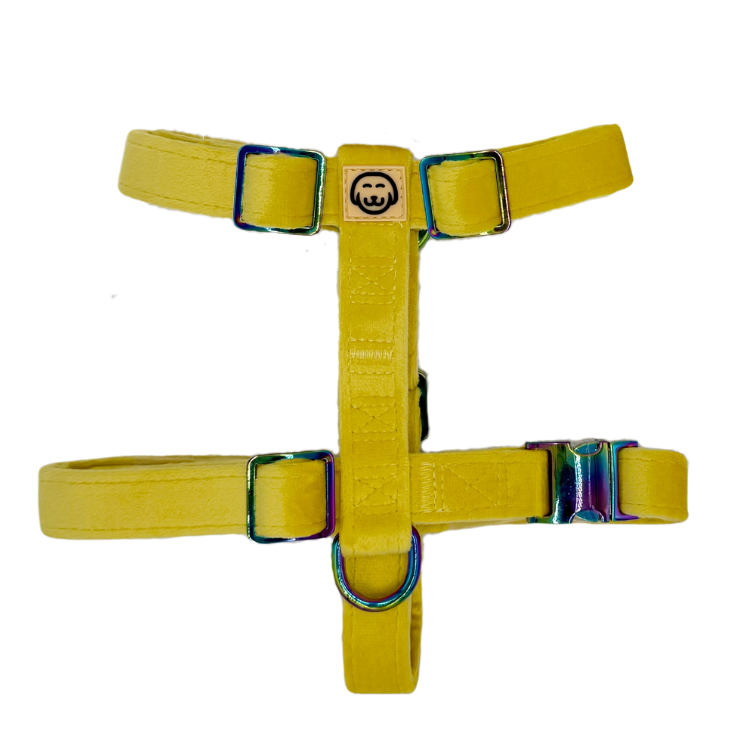 Sunshine Velvet - Adjustable Strap Dog Harness