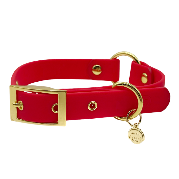 Ruby Red - Splashproof Dog Collar