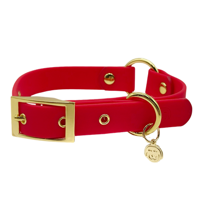 Ruby Red - Splashproof Dog Collar