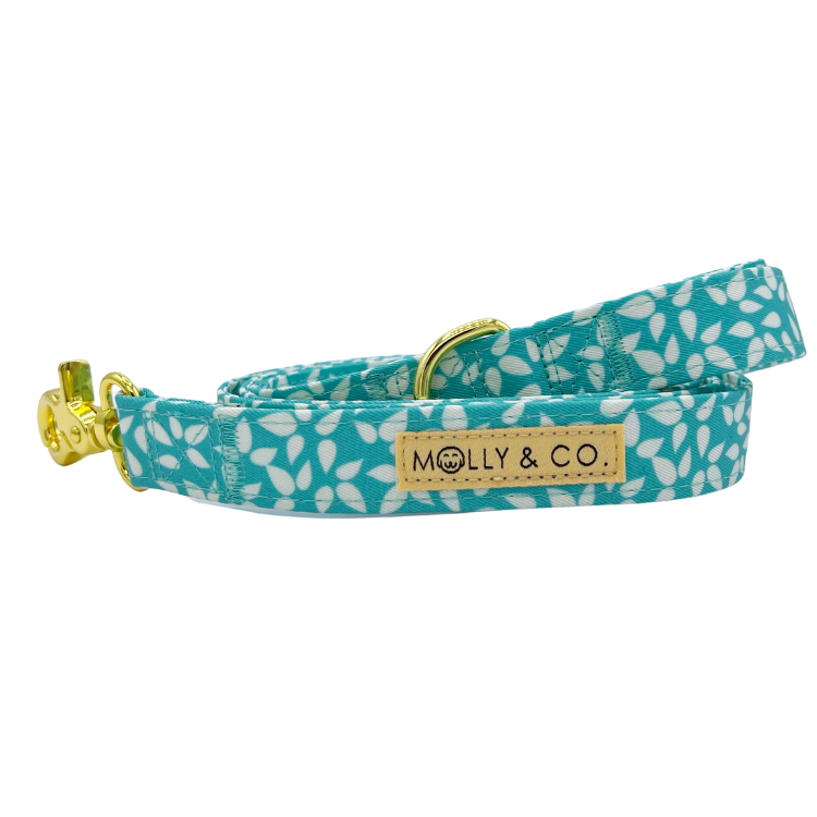 Seafoam - Dog Leash - FINAL SALE