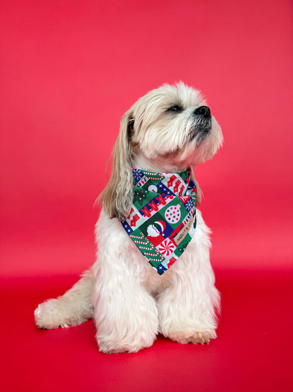 Merry Mischief - Reversible Dog Bandana