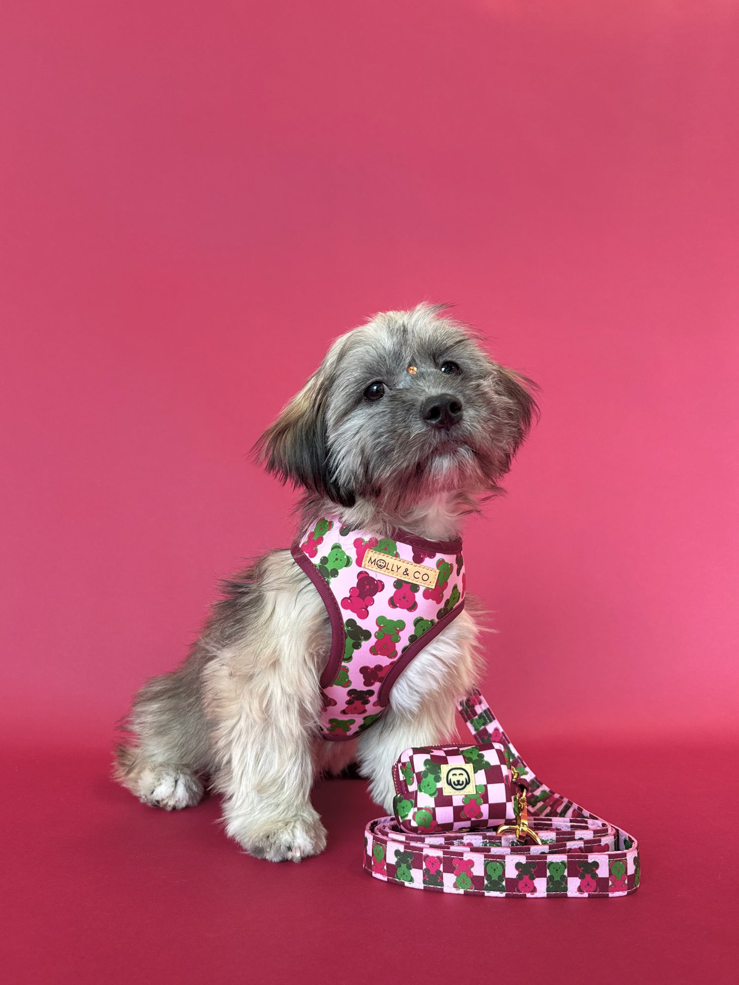 Gummy Bears - Dog Poop Bag Holder