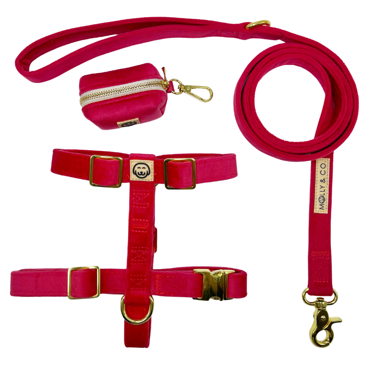 Scarlet Velvet - Walking Bundle