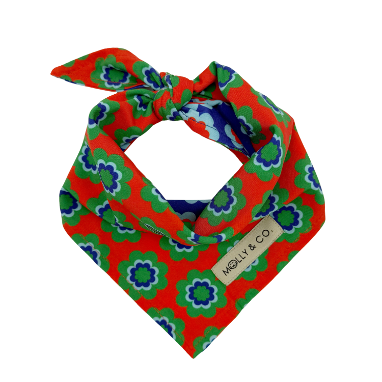 Sorrento - Reversible Dog Bandana