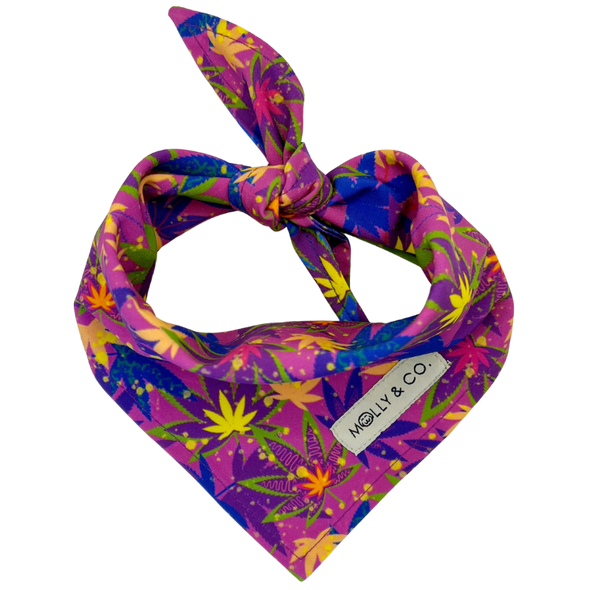 CannaPaws - Reversible Dog Bandana