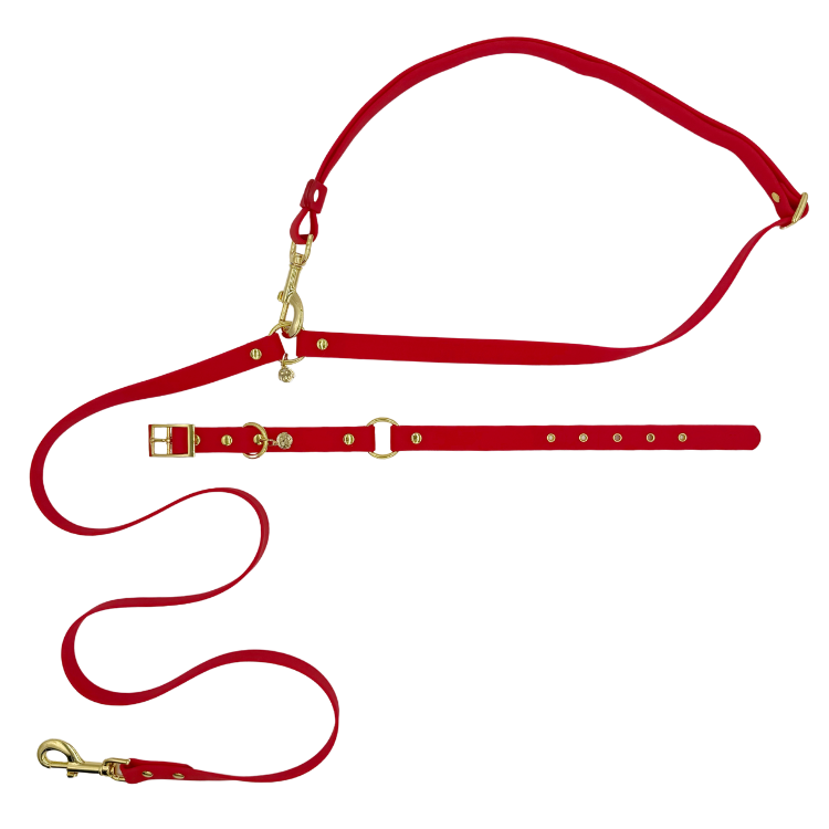 Ruby Red - Splashproof Bundle