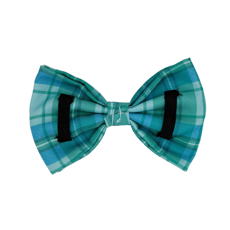 Northern Lights - Dog Bowtie