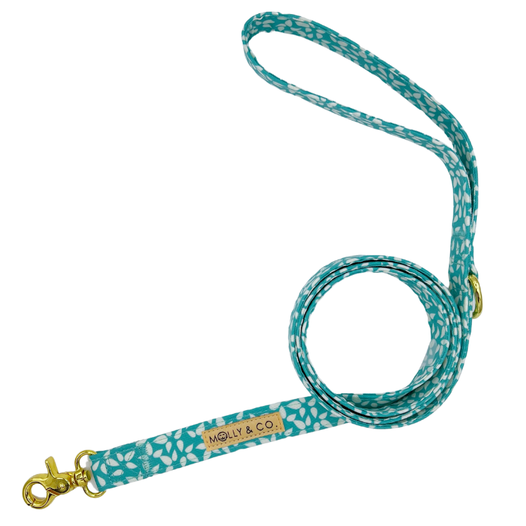 Seafoam - Dog Leash - FINAL SALE