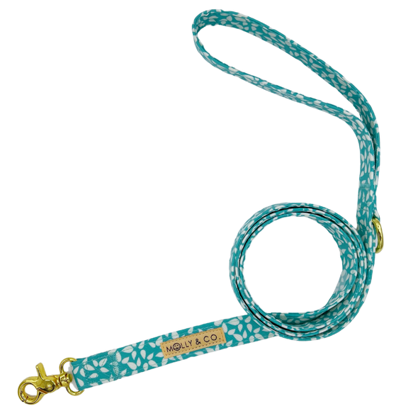 Seafoam - Dog Leash - FINAL SALE