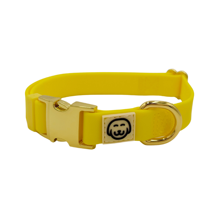 Limoncello - Adjustable Splashproof Dog Collar
