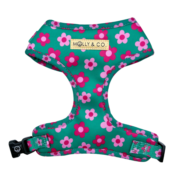 Petunia - Adjustable Dog Harness