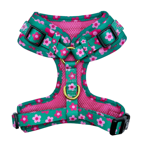 Petunia - Adjustable Dog Harness