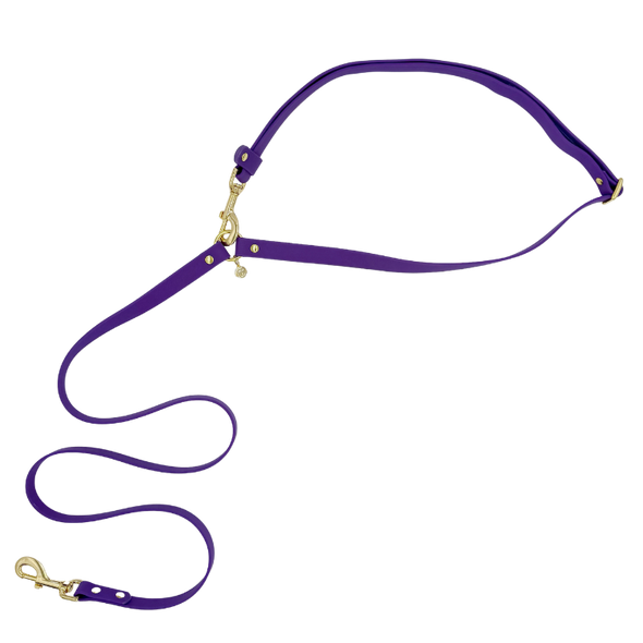 Purple Haze - Splashproof Handsfree Dog Leash