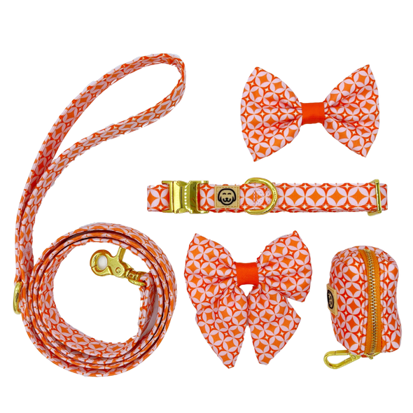 Glam Pup - Dog Collar - FINAL SALE