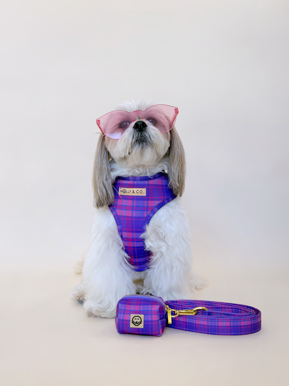 Pinkberry Plaid - Dog Poop Bag Holder