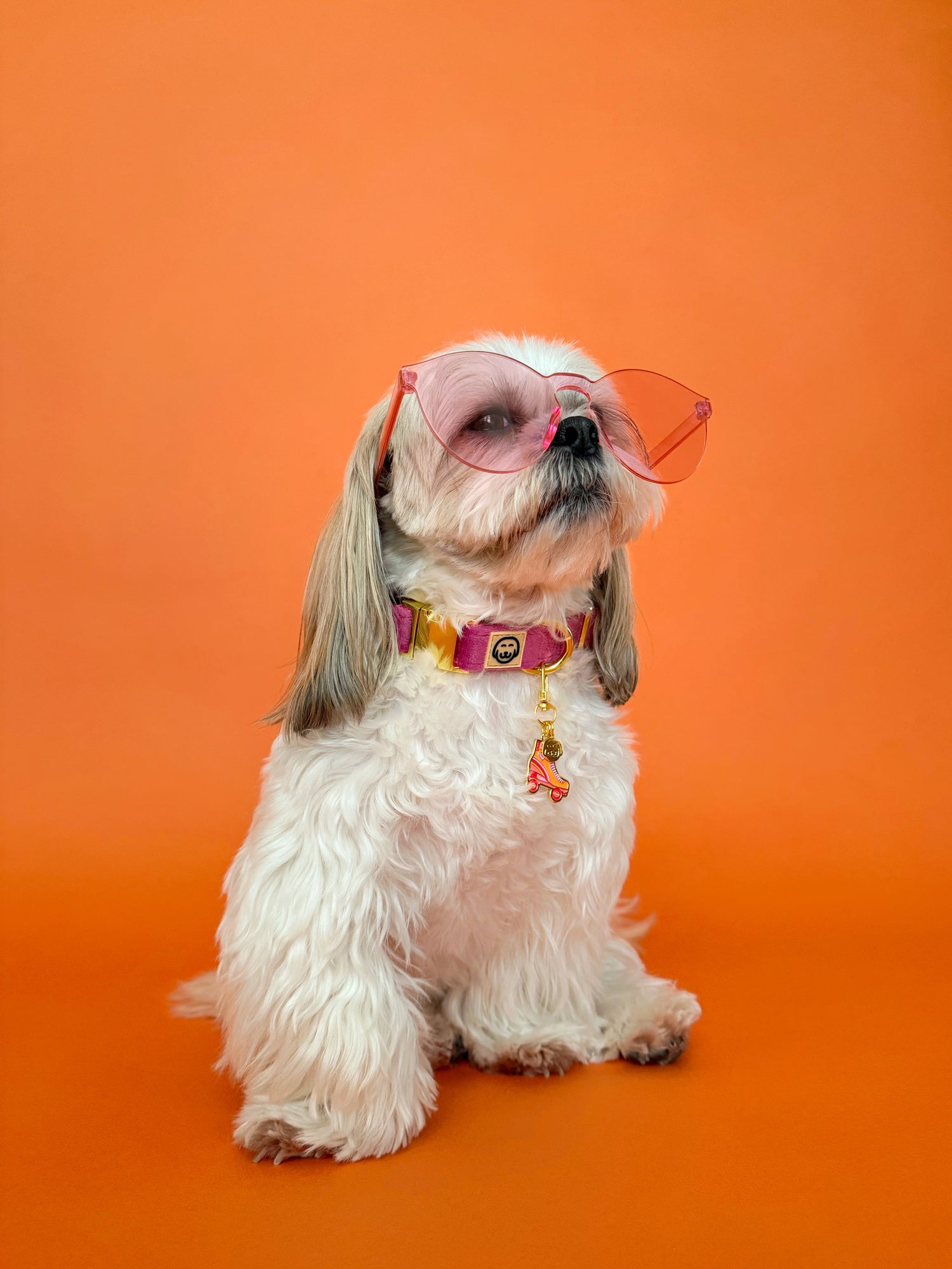 Roller Skate - Collar Charm