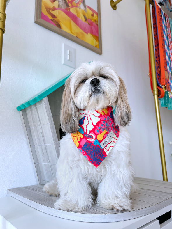 Pots - Reversible Dog Bandana