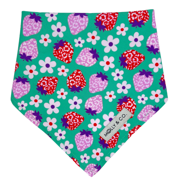 Strawberry - Reversible Dog Bandana